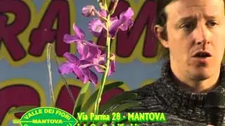 Valle dei Fiori_Corso Orchidee 4/4