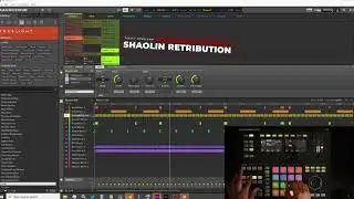 Shaolin Retribution