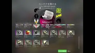 CSGO 2020RMR Open Capsule