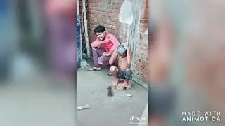 BEST TIK TOK COMEDY