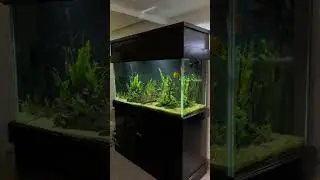 HUGE UPGRADE to the Kessil A360XE Light (Tuna Sun)