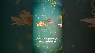 Дельный совет 😀