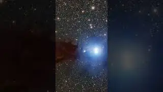 The Lupus 3 dark cloud and associated hot young stars 