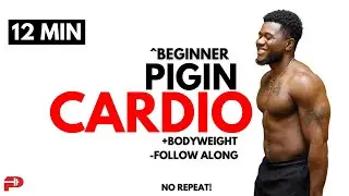 12-MINUTE FULL BODY BEGINNER CARDIO WORKOUT ( PIGIN )
