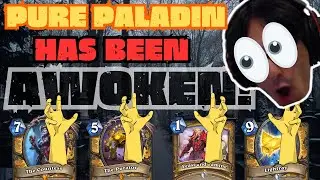 Pure Paladin Has Been Awoken Again!