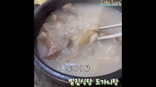 도가니탕 제주도 서귀포시 #서귀포맛집 벌집식당 #도가니탕