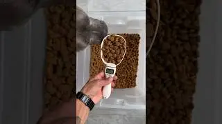 Nossa Rotina 