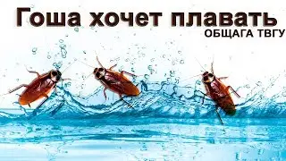 Гоша хочет плавать, общага твгу