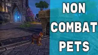 ESO What Are Non Combat Pets Non Combat Pets Explained PS4 /5 Xbox Or PC