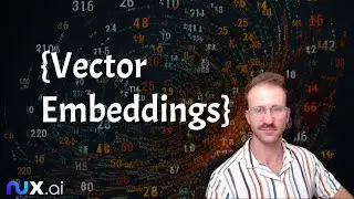What is a Vector Embedding?