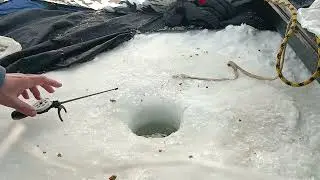 грязнуха, февраль 2023г , мормышка, плотвичка