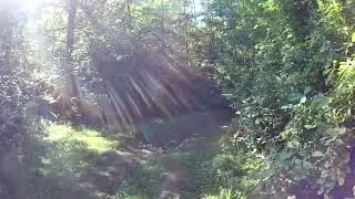 Река Явас сентябрь 2021г