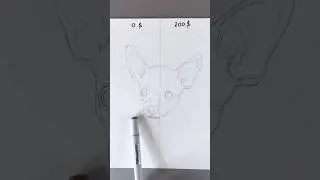 Собака | 0$ vs 200$ [ASMR] #drawing #art #sketch