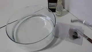 Kalium in Wasser + Phenolphthalein