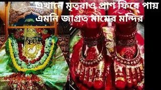 Bargabhima Mandir Tamluk | এখানে মৃত প্রাণীও প্রাণ  ফিরে  পায় #trending #viral #tamluk