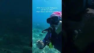 You're in the Philippines and dive in a place where there isn't much tourists