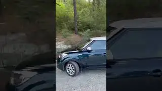 Белка упала с дерева! Ненормативная лексика, осторожно! #лес, #белка, #падение, #fail