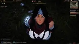 Black Desert Online: Mini Boss Fights (2K UHD Quality/Perfomance Test)