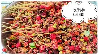 Wild strawberry jam for the winter.