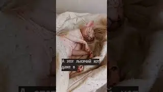 в жару под одеялком