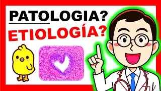 👋 ¿Qué es la Patologia? 🦆🔬🦠