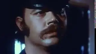 Mustache Twitch
