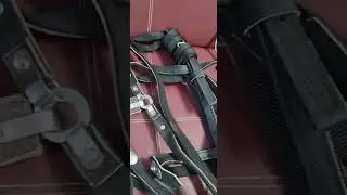 Ертұрман сатылады