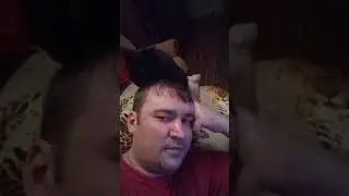 Кошка сама помылась и хозяина помыла)