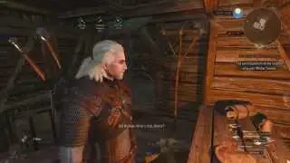 The Witcher 3 - Dxtory Test