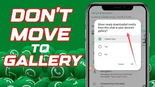 Stop WhatsApp from Saving Photos & Videos Automatically | Simple Steps to Free Up Storage!"