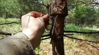 20200518 верёвка на стволе