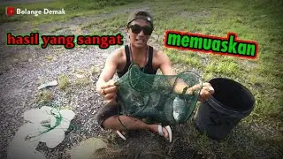tiga bulan tidak dijala ikanya uda gede gede semua