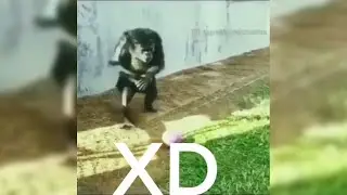 MEMES MUY XD #168