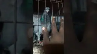 my favourite video