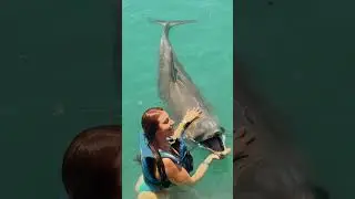 Libertad en el paraíso tropical 🌴 🐠✨
