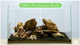 FRESHWATER Blade: New Office Tank Build!