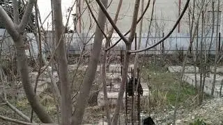 Аттракцион ужасов