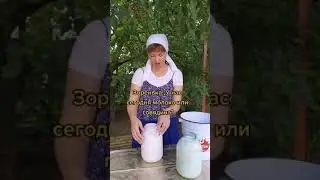 Супер ЛАЙФХАК для доярок