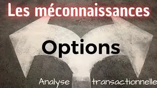 LES MÉCONNAISSANCES N°3 - LES OPTIONS