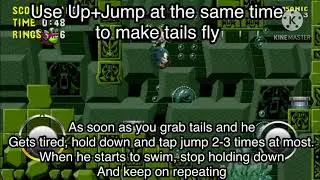 Sonic 1 IOS Secret of labyrinth Zone Achivement Tutorial