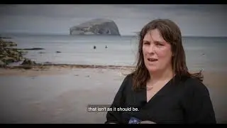 Evie Wyld visits the Bass Rock