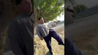 Turkmen Prikol 2024