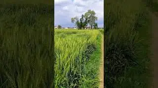 Village status