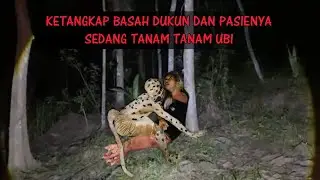 HEBOH ‼️ PESU61HAN SAPU SAPU GA KAP0K