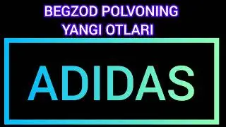 KATTAQÒRĞON POLVONTEPA MASHHUR BEGZOD POLVONNING FARZANDI SHOHZAMONJONNING YANGI 
