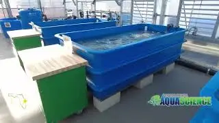 Aquadome