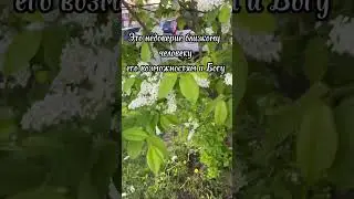 Верь в своих близких! Не разрушай их веру в себя!