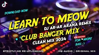 LEARN TO MEOW - CLUB BANGER MIX ( CLEAN MIX ) XIAO FENG FENG FT. DJ AR-AR ARAÑA 2024