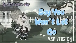 Say You Won't Let Go - Msp Version