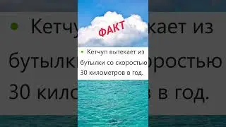 Fakт